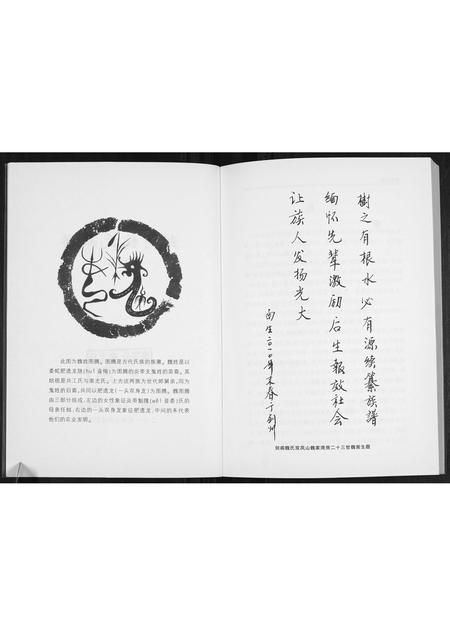 四川魏氏-剑阁魏氏族谱.pdf电子版插图2