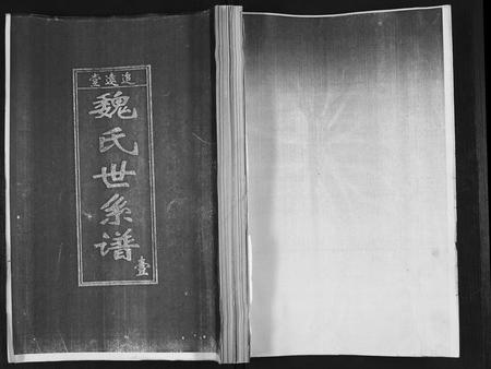山东魏氏-魏氏世系谱.pdf电子版插图 山东魏氏-魏氏世系谱.pdf电子版插图