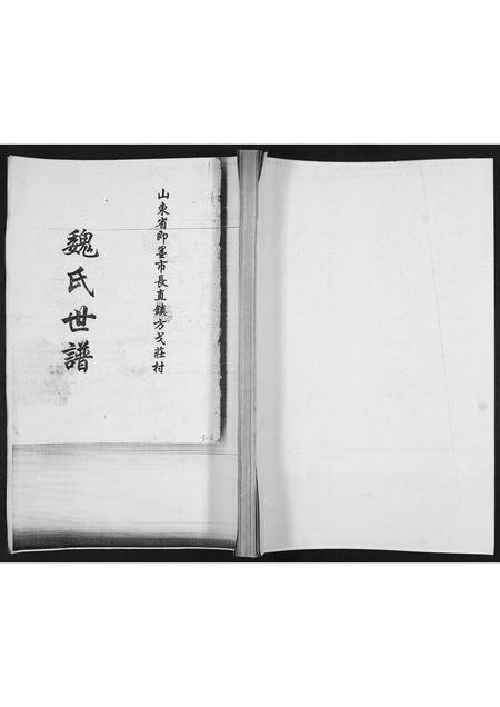山东魏氏-魏氏世谱[不分卷].pdf电子版
