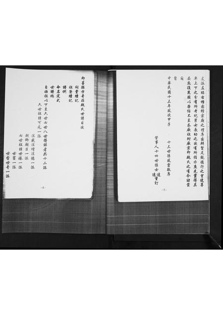 山东魏氏-魏氏世谱[不分卷].pdf电子版插图4