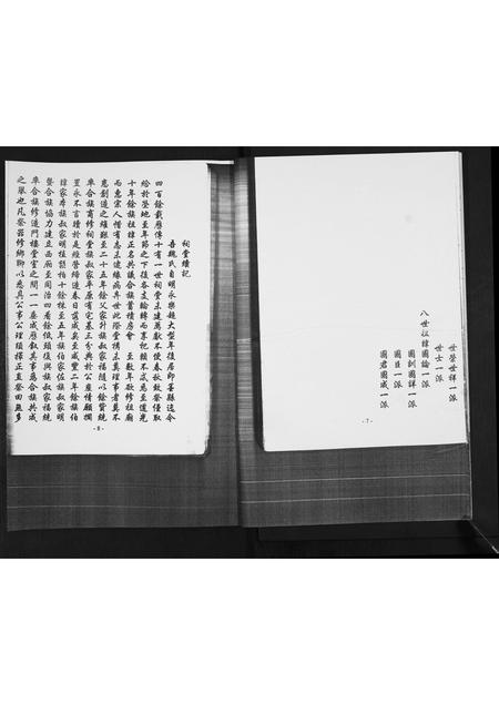 山东魏氏-魏氏世谱[不分卷].pdf电子版插图5