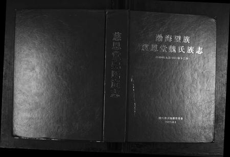 山东魏氏-魏氏族志[9章].pdf电子版