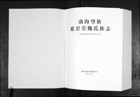 山东魏氏-魏氏族志[9章].pdf电子版插图1