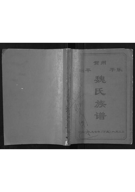 广西魏氏-魏氏族谱.pdf电子版插图