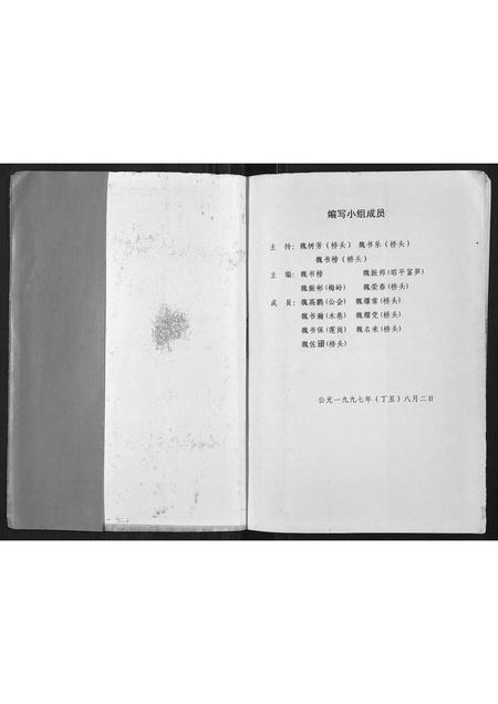 广西魏氏-魏氏族谱.pdf电子版插图1