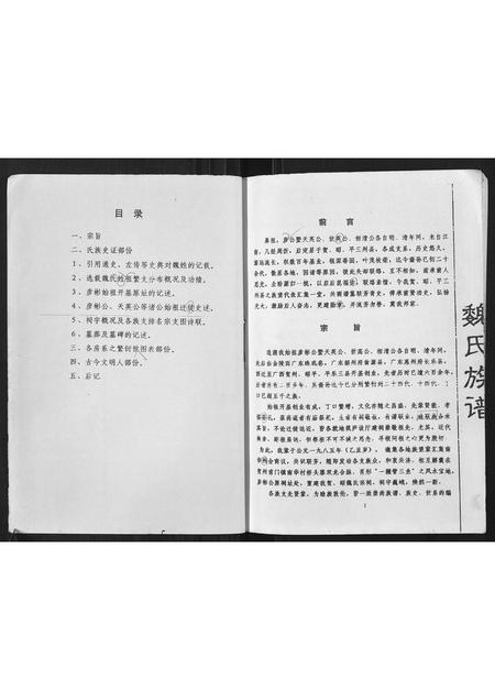 广西魏氏-魏氏族谱.pdf电子版插图2