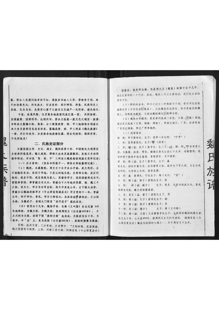 广西魏氏-魏氏族谱.pdf电子版插图3