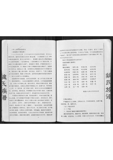 广西魏氏-魏氏族谱.pdf电子版插图5