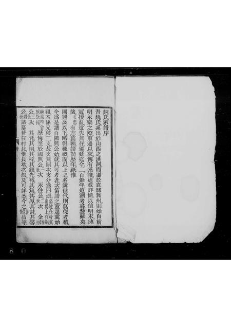 河北魏氏-冀县魏氏家谱(别名：魏氏家谱).pdf电子版插图