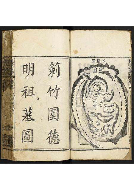 海南魏氏-魏氏家谱.pdf电子版插图3
