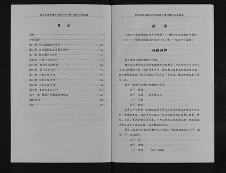 云南魏氏-魏氏宗谱家谱[不分卷].pdf电子版插图2