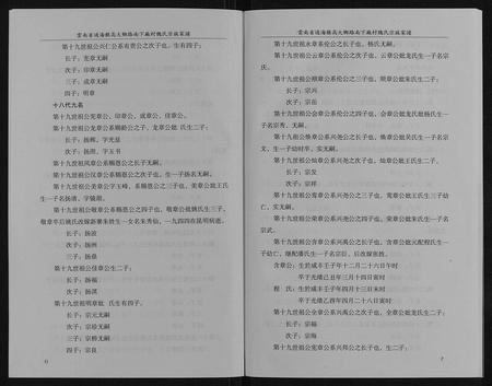 云南魏氏-魏氏宗谱家谱[不分卷].pdf电子版插图5