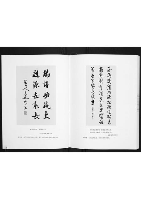 山西温氏-东社温氏族谱.pdf电子版插图5
