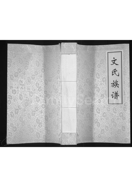 四川文氏-大竹文氏城口支族族谱(别名：文氏族谱).pdf电子版插图
