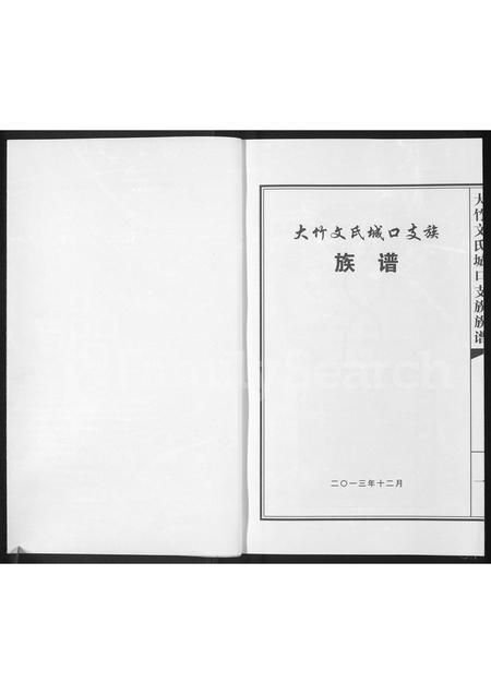 四川文氏-大竹文氏城口支族族谱(别名：文氏族谱).pdf电子版插图1