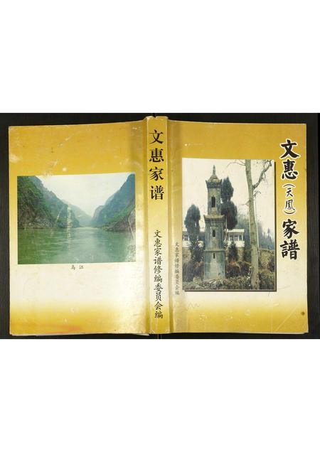贵州文氏-文惠(天凤)家谱.pdf电子版插图
