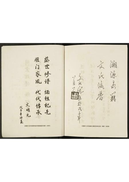 贵州文氏-文惠(天凤)家谱.pdf电子版插图4