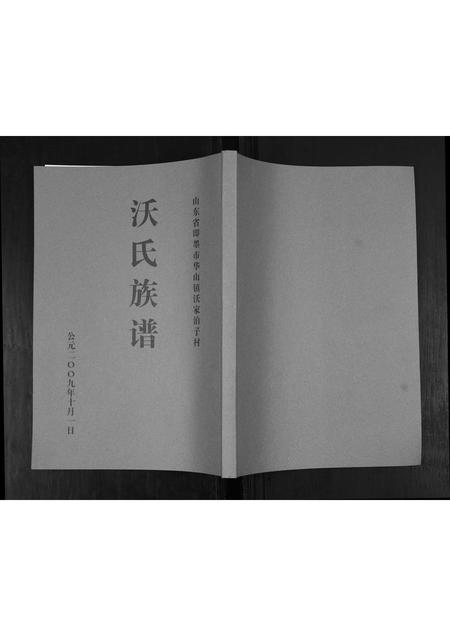 山东沃氏-沃氏族谱.pdf电子版