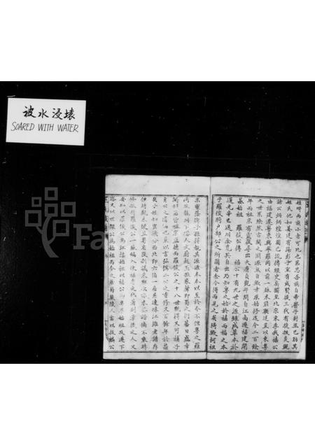 四川巫氏-威远巫氏族谱 [1卷].pdf电子版插图2
