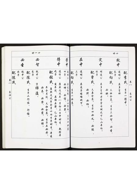 四川吴氏-吴氏族谱.pdf电子版插图2