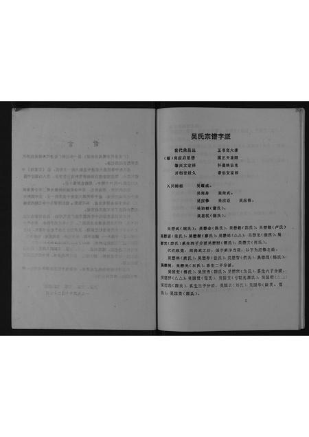 四川吴氏-广安县代市镇吴氏宗谱.pdf电子版插图2