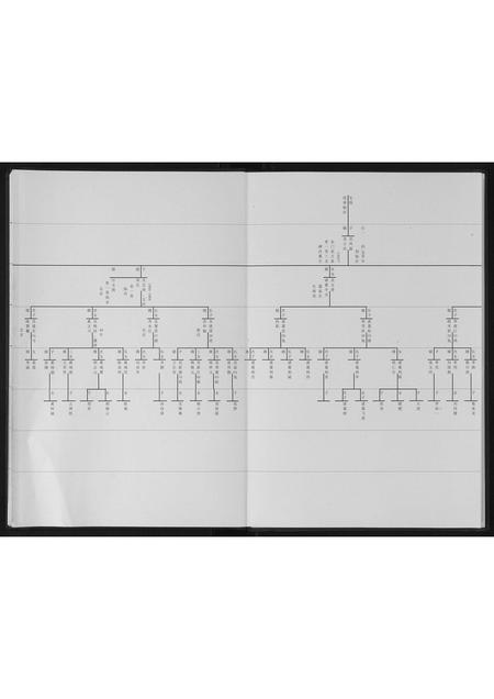 山东吴氏-吴氏族谱[不分卷].pdf电子版插图4