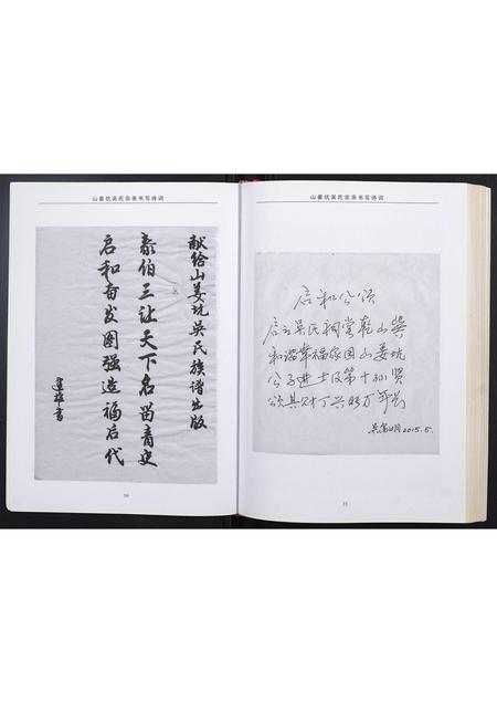 广西吴氏-山姜坑吴氏族谱.pdf电子版插图3