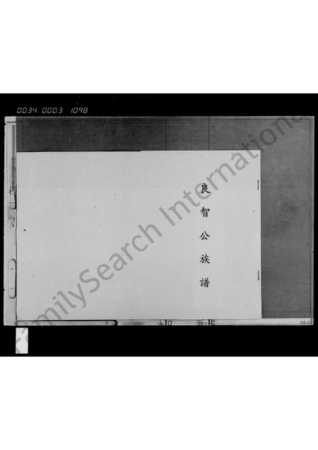 海南吴氏-良智公世系族谱(别名：良智公族谱).pdf电子版插图2