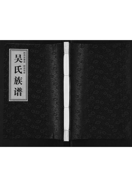 陜西吴氏-陕西延安吴氏族谱[不分卷].pdf电子版