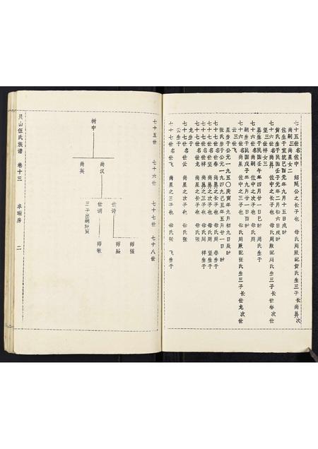 广西伍氏-灵山伍氏族谱.pdf电子版插图2