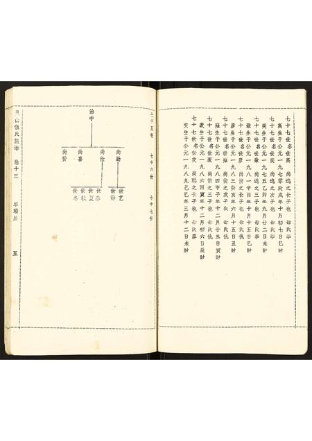 广西伍氏-灵山伍氏族谱.pdf电子版插图5