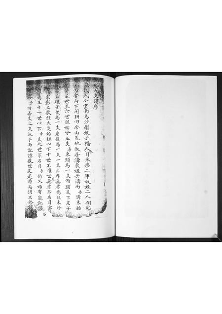 山东武氏-武氏宗谱.pdf电子版插图2 山东武氏-武氏宗谱.pdf电子版插图2