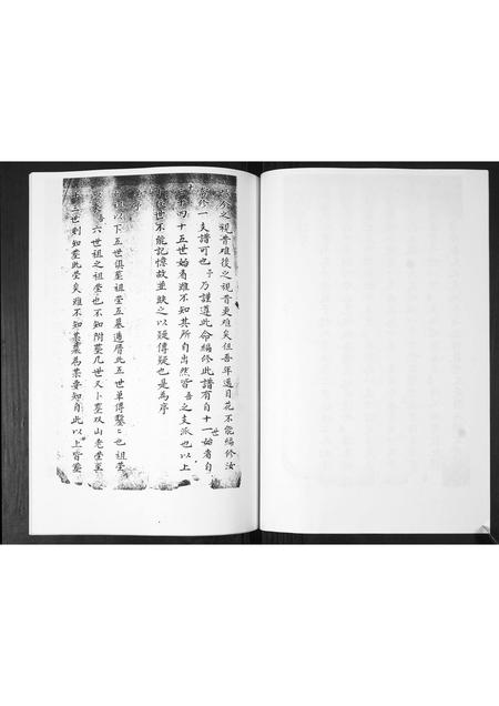 山东武氏-武氏宗谱.pdf电子版插图3 山东武氏-武氏宗谱.pdf电子版插图3