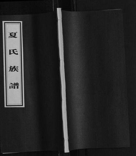 山东夏氏-夏氏族谱.pdf电子版