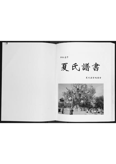 山东夏氏-平阴店子夏氏家族谱书.pdf电子版插图1
