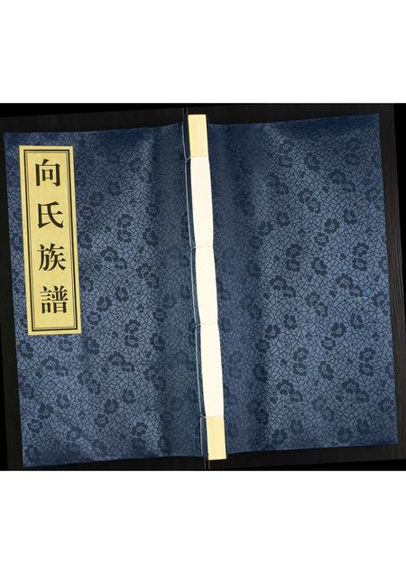 贵州向氏-兴仁县向氏族谱.pdf电子版插图 贵州向氏-兴仁县向氏族谱.pdf电子版插图