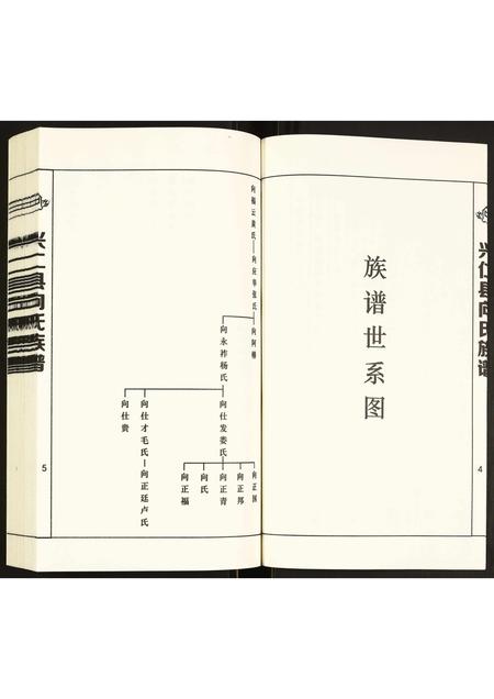贵州向氏-兴仁县向氏族谱.pdf电子版插图3 贵州向氏-兴仁县向氏族谱.pdf电子版插图3