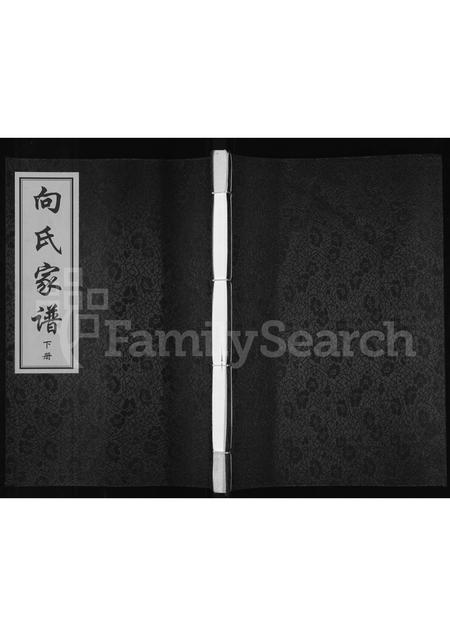 陜西向氏-向氏家谱 [上中下三册].pdf电子版