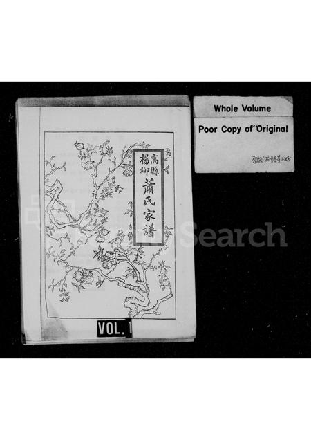 四川萧氏-高县杨柳萧氏家谱.pdf电子版