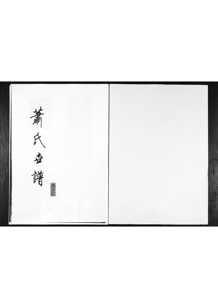 山东萧氏-萧氏世谱.pdf电子版插图1