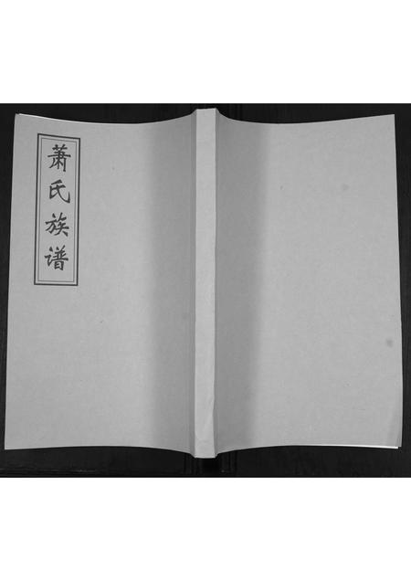 山东萧氏-萧氏族谱.pdf电子版