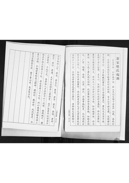 山东萧氏-萧氏族谱.pdf电子版预览图2