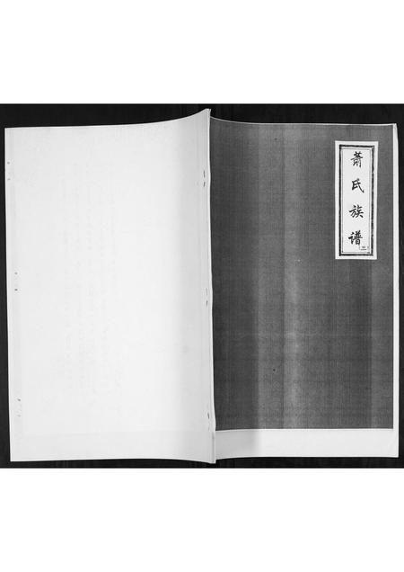 山东萧氏-萧氏族谱.pdf电子版