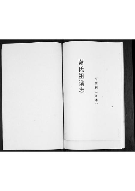 山东萧氏-萧氏族谱.pdf电子版插图1