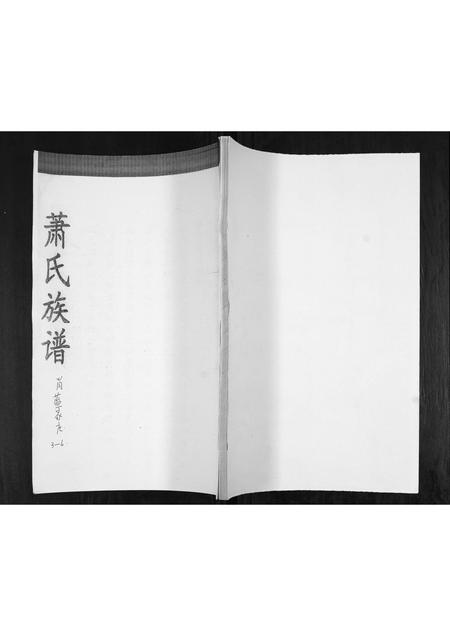 山东萧氏-萧氏族谱.pdf电子版