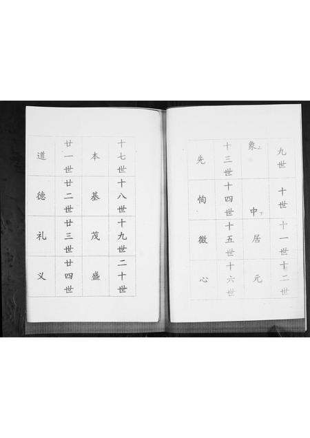 山东萧氏-萧氏族谱.pdf电子版插图4