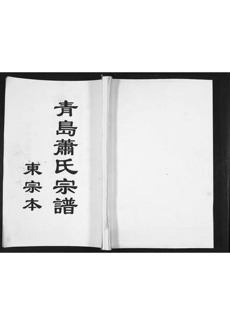 山东萧氏-青岛萧氏宗谱[ 29卷].pdf电子版