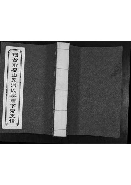 山东谢氏-福山谢氏家谱.pdf电子版