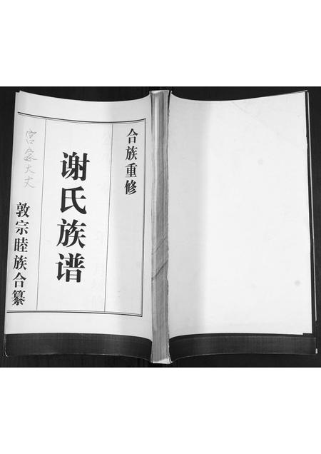 山东谢氏-谢氏族谱.pdf电子版