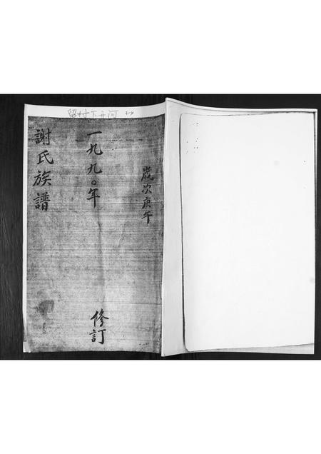 山东谢氏-谢氏族谱.pdf电子版